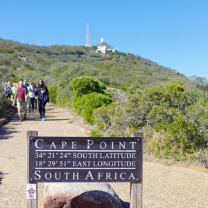 Cape Town Transfers & Tours