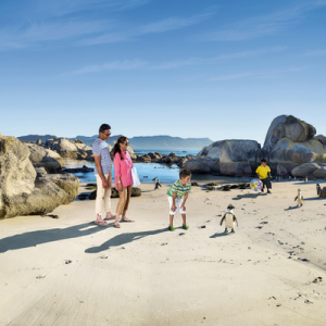 Cape Town Transfers & Tours